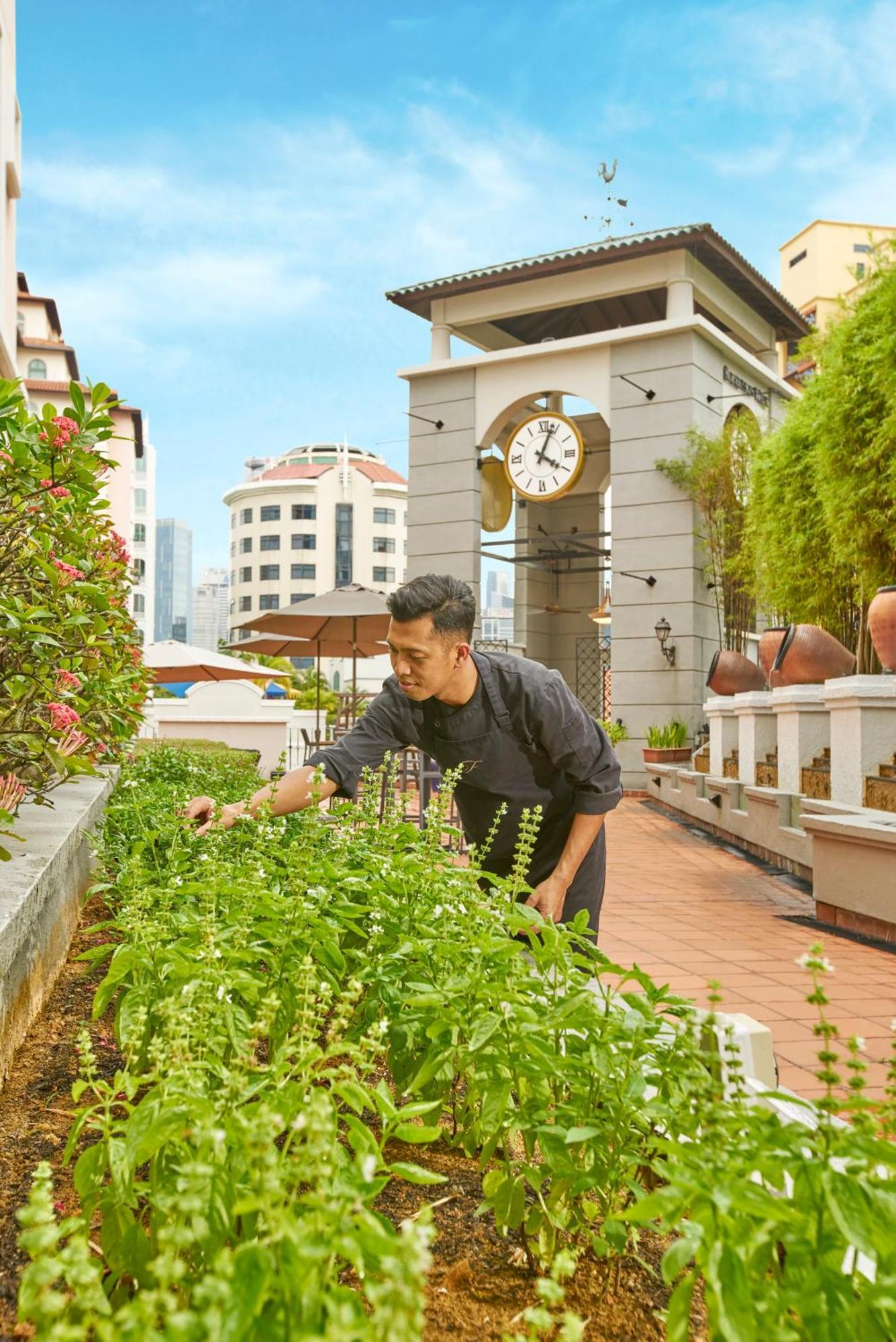 Fraser Place Robertson Walk Сингапур Экстерьер фото Chef at work at the hotel's rooftop garden